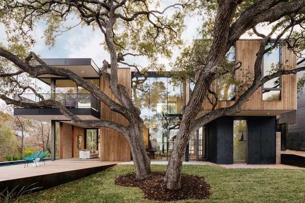 Exterior view of a contemporary multi-level residence integrated around mature spreading trees. The house features extensive floor-to-ceiling glazing, warm vertical timber cladding, dark metal or painted wall panels, flat roof forms, cantilevered upper volumes, and a raised timber deck. A landscaped lawn and mature tree canopy dominate the foreground.