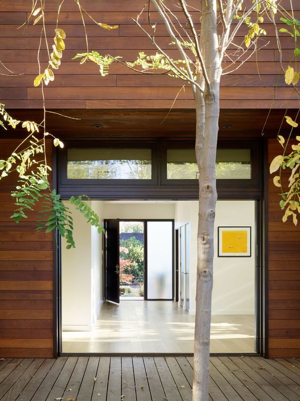 A view from a timber-clad exterior deck through a large open doorway into a bright residential entry hall. The facade and soffit are lined with warm horizontal timber boards, while dark-framed clerestory windows and door framing create a strong geometric composition. Inside, a pale tiled or polished floor, white walls, internal glazing, and a yellow framed artwork are visible. A slender tree grows directly in front of the entrance, partially obscuring the view.