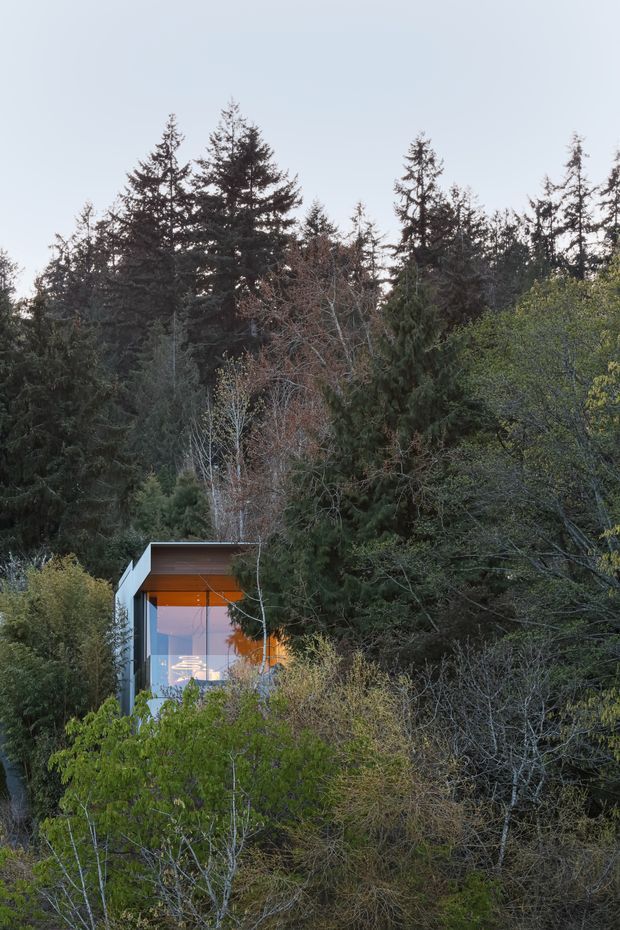 A compact modern pavilion or house is partially concealed within dense forest vegetation. The building has a simple flat roof, dark and light exterior walls, and a large floor-to-ceiling glazed opening revealing a warmly lit interior. Tall evergreen and deciduous trees dominate the surrounding landscape, creating a secluded woodland setting.