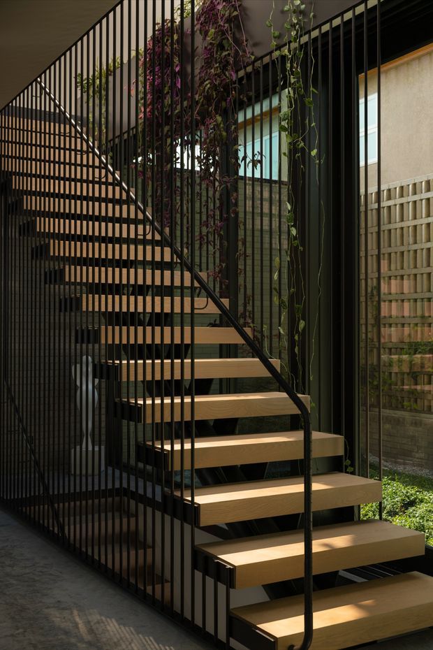 A contemporary open-riser staircase with warm timber treads and slim black metal balustrades, rising through a narrow internal courtyard or circulation void. Vertical black bars form a strong architectural screen around the stair, with climbing plants and greenery adding an organic layer. Glazed openings, dark framing, and a textured masonry boundary are visible alongside the stair. The scene has a refined, warm, slightly dramatic architectural character with strong linear geometry and filtered natural light.