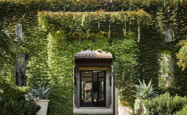 A lush, ivy-covered building facade viewed from a landscaped garden approach. The symmetrical entrance has dark framed glazed double doors, a small tiled projecting canopy, stone or rendered surrounds, and tall windows partially concealed by dense climbing greenery. Large potted agaves and clipped shrubs frame the entry, creating a secluded, historic garden atmosphere.