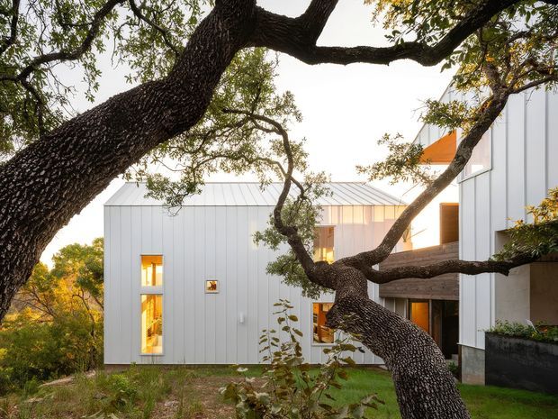 Exterior view of a contemporary multi-level residence nestled among mature trees. The building features crisp white vertical-panel cladding, a pale standing-seam metal roof, tall narrow windows, warm interior lighting, and recessed timber-toned entry or balcony elements. Dense tree branches frame the facade and landscaped planting surrounds the house.