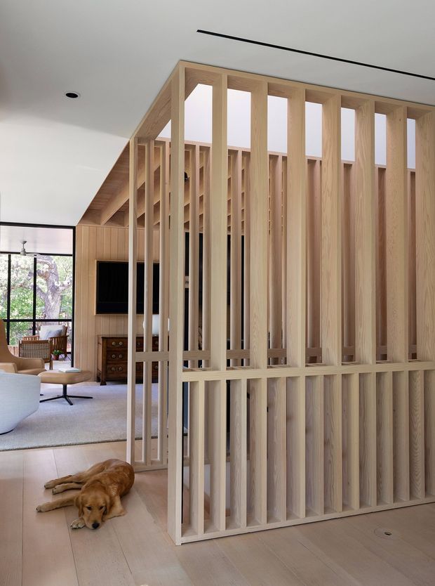 A bright contemporary open-plan interior featuring a sculptural light timber slatted screen or room divider. The screen separates the foreground circulation area from a living room, while also forming a timber-lined architectural partition with open vertical battens and integrated shelving-like voids. The space has pale timber flooring, white ceilings and walls, recessed lighting, a timber wall lining around a dark television, and large glazing opening to greenery. A dog lies on the floor in the foreground.