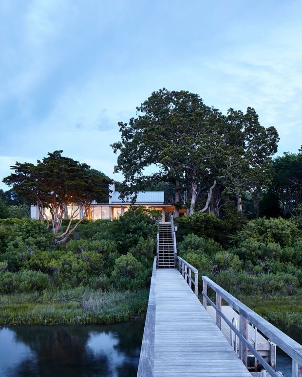 A contemporary low-profile house nestled in dense coastal vegetation, viewed from a long timber boardwalk crossing calm water. The home has broad glazed walls, warm interior lighting, a flat roof, and a raised entrance reached by stairs. Large mature trees and native-looking planting surround the secluded setting beneath a blue evening sky.