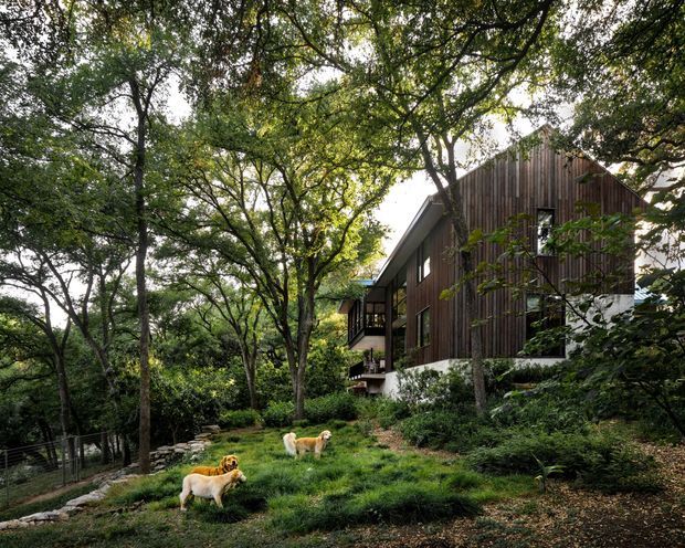 A contemporary timber-clad house nestled into a densely wooded, landscaped site. The image shows a steep gabled facade with vertical dark wood cladding, projecting glazing and balconies, a pale masonry or concrete base, and lush planted grounds. Several dogs are present in the foreground, while mature trees frame the building.