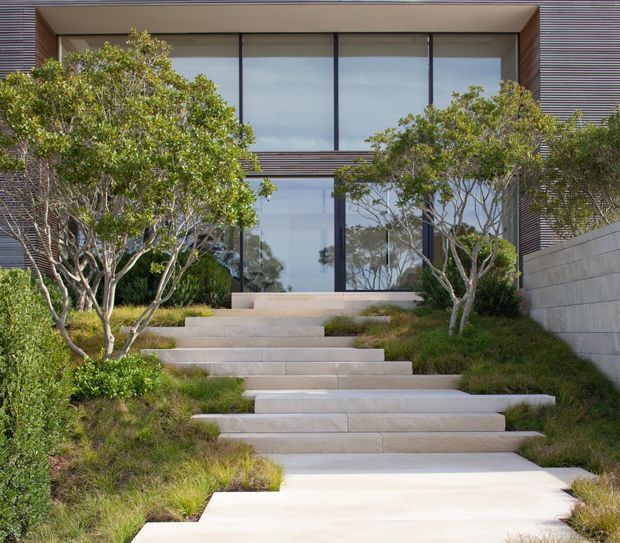 A contemporary residential facade viewed from an ascending landscaped walkway. Broad pale stone or concrete steps lead through grasses and small trees to a double-height glazed entrance, framed by dark slim mullions and warm horizontal timber-toned cladding. A pale masonry retaining wall lines the right side.