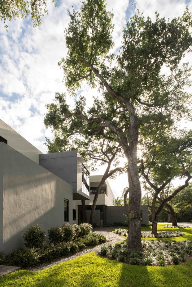 A contemporary multi-level residence set within a mature, heavily landscaped site. The image looks upward through large established trees toward a clean-lined pale rendered facade with projecting dark grey box-like volumes, extensive glazing, and a recessed entry approach. Gravel garden beds, low shrubs, ornamental grasses, and manicured lawn surround the building, creating a strong relationship between modern architecture and mature vegetation.