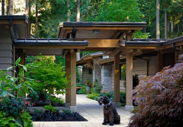A covered exterior walkway and courtyard within a heavily wooded garden setting. The structure features low-pitched roof forms, exposed timber beams and posts, dark horizontal wall cladding, and pale masonry accents. Lush planting frames the paved path, with a dog seated in the foreground.