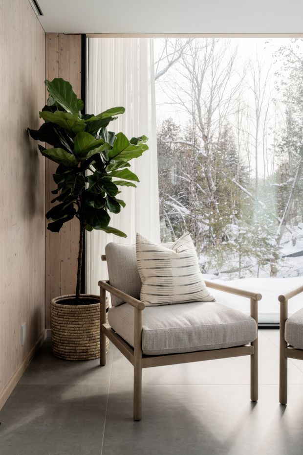 A calm, minimalist seating corner with a light upholstered timber-framed armchair and matching ottoman beside expansive floor-to-ceiling glazing. Vertical timber wall panelling, a concrete-look floor, sheer curtains, and a large indoor fiddle-leaf fig create a warm natural interior, with a snowy wooded landscape visible outside.