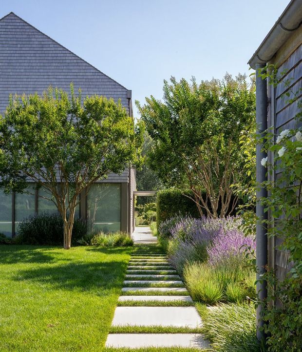 A landscaped courtyard walkway between contemporary buildings. Large rectangular concrete stepping slabs lead through a manicured lawn and layered planting, including lavender and ornamental grasses, toward a covered passage. The buildings feature dark grey shingle cladding, large translucent or frosted glazing, and climbing greenery along one wall. Bright daylight creates a calm, carefully designed garden setting.