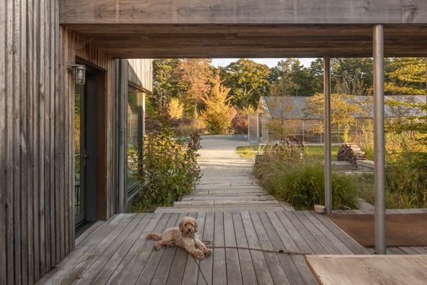 A covered timber deck and entry walkway framed by a weathered vertical timber-clad structure and exposed timber ceiling. The path leads through a landscaped garden toward a simple outbuilding, with a relaxed dog resting on the deck. The scene has a warm, natural, rural architectural character.