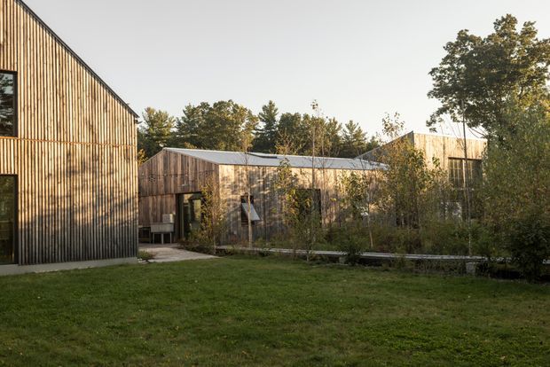 Exterior view of a contemporary timber-clad building complex set within a landscaped grassy site. Several low-rise interconnected volumes feature vertical timber board cladding, simple pitched or gently sloping metal roofs, and large dark-framed windows. Mature trees and planting partially screen the buildings, with a narrow paved walkway crossing the foreground.