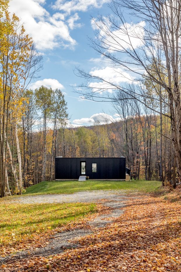 A compact, single-storey black-clad modern building sits at the end of a gravel driveway in a wooded landscape. Tall deciduous trees with autumn foliage surround the property, with a simple rectangular facade, flat roof, dark vertical cladding, and a small glazed entry door and window. The image is a bright exterior architectural photograph with a strong forest setting.
