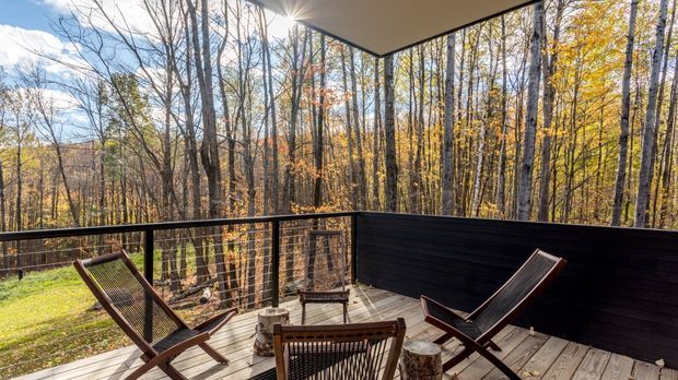 A covered timber deck or balcony overlooking a dense deciduous woodland in autumn. The outdoor space has dark horizontal privacy screening, slim black metal balustrades, pale timber decking, and several wood-framed sling chairs arranged around a small rustic table. Sunlight filters through the trees, creating a warm, tranquil retreat.