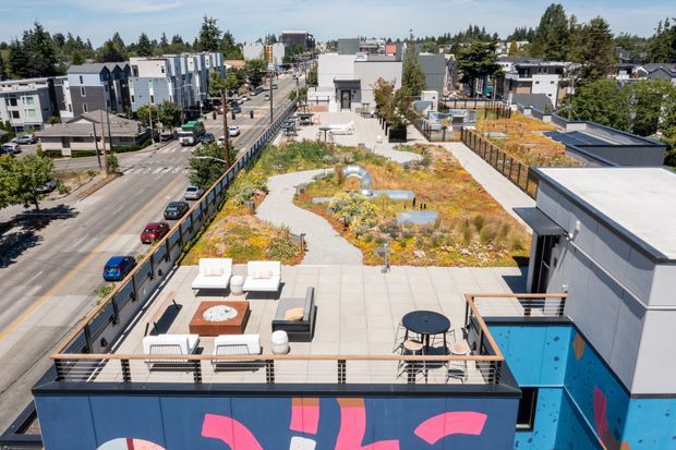 Aerial view of a contemporary urban rooftop terrace and extensive green roof. The roof features winding concrete paths through colourful drought-tolerant planting, multiple seating areas, outdoor tables, and a rooftop recreation zone with a mural-painted parapet and blue sport-court or play area. Surrounding low-rise modern buildings, streets, and mature trees are visible.