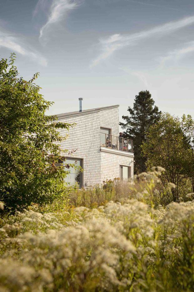A compact contemporary house viewed through a natural meadow-like garden. The two-storey building has pale horizontal shingle or weatherboard-style cladding, a shallow sloping roof, simple rectangular windows and doors, and a small upper-level balcony with metal balustrading. Mature trees and tall grasses partially screen the facade.
