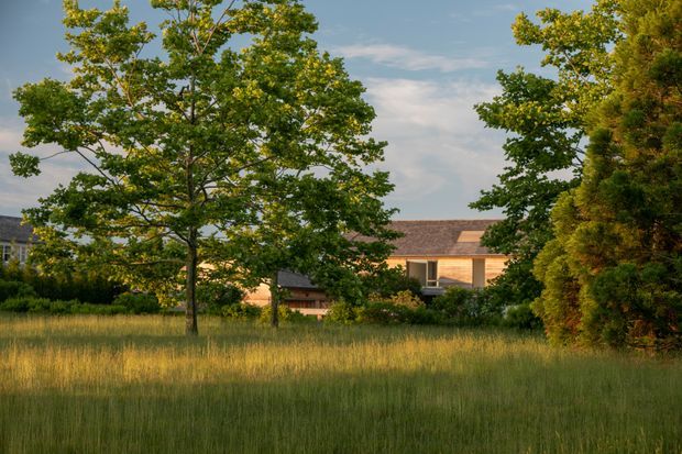 A low, partially concealed residential building is viewed through a meadow and mature landscaping. The architecture features a broad shallow pitched roof with muted brown roofing, warm timber-toned wall sections, and large glazed openings, creating a quiet, integrated landscape setting. Tall grasses and established trees dominate the foreground and frame the house.