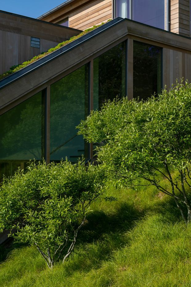 A contemporary timber-clad building viewed from the landscaped exterior. Large dark-framed glazing sits beneath a sloping concrete or dark metal roof edge with a planted green roof strip, while clipped trees and ornamental grasses surround the facade.