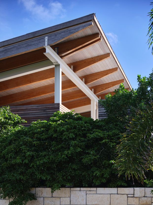 Exterior architectural photograph viewed from below, showing a raised modern structure with a broad timber-lined roof overhang, exposed timber rafters, white structural posts and beams, dark horizontal cladding, and dense landscaped greenery in front of a pale masonry retaining wall. The clear blue sky and strong sunlight emphasize the roof form and outdoor setting.