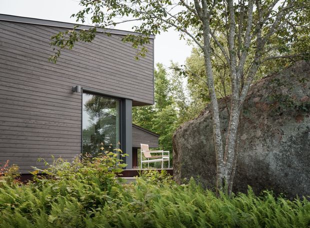 Exterior view of a contemporary dark timber-clad building nestled into a wooded, rocky landscape. The simple geometric form has a projecting upper volume, large dark-framed glazing, and a small terrace with outdoor seating, surrounded by ferns, mature trees, and a prominent natural boulder.
