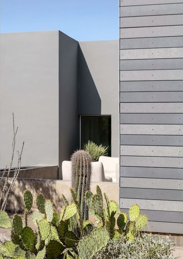 A minimalist modern building exterior with smooth pale rendered walls, a dark recessed courtyard or entry, and a prominent facade clad in horizontal grey panels. A large dark-framed opening reveals a small seating area behind a low concrete wall. The foreground contains dense desert landscaping with columnar and prickly-pear cacti under a clear blue sky.