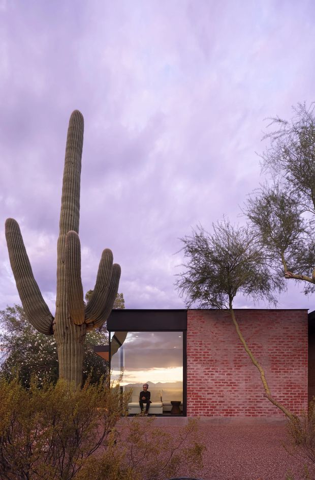 Exterior view of a low, modern brick building set within a desert landscape. A tall multi-armed saguaro cactus dominates the foreground beside a large floor-to-ceiling glazed opening, while a flat dark roof and red brick wall define the facade. Gravel landscaping, desert trees, and a muted purple sky create a dramatic southwestern atmosphere; a small interior seating area is visible through the glazing.