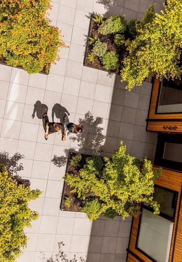 Aerial view of a landscaped courtyard beside a modern timber-clad building. Large square light-grey paving tiles form the circulation area, with several integrated garden beds containing dense ornamental shrubs and grasses. Two people are walking through the courtyard, and strong sunlight casts long shadows across the paving and building facade.