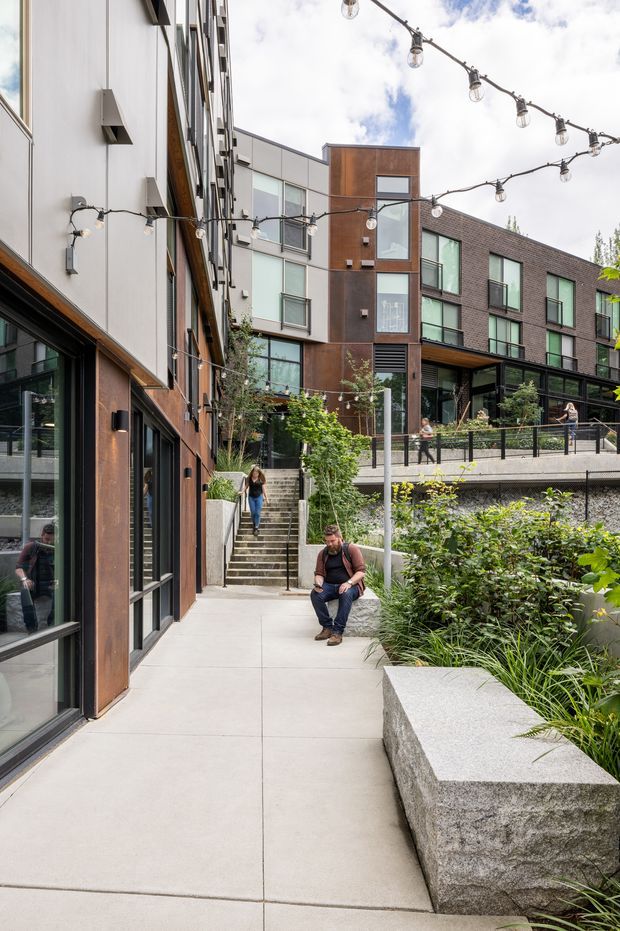 A landscaped pedestrian courtyard or external walkway between contemporary multi-storey buildings. The scene features smooth concrete paving, raised rough-stone planter walls, ornamental grasses and shrubs, dark metal fencing, large glazed windows, and modern facades combining white panels, dark brick, and weathered brown metal cladding. Festoon string lights span overhead, while stairs connect different levels of the site. People are present but secondary.