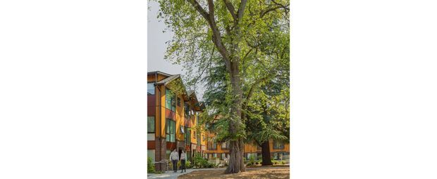 Exterior view of a multi-storey contemporary building set among mature trees, with colourful orange and brown facade panels, projecting roof forms, balconies or recessed openings, and a pedestrian path at ground level. The image primarily documents the building facade and its landscaped urban setting.