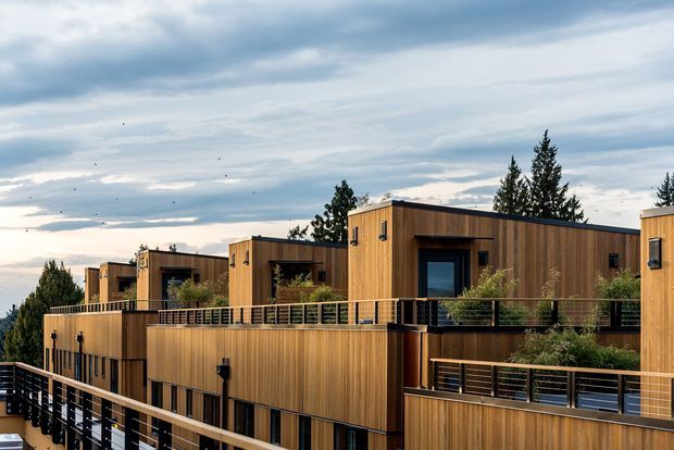 Exterior view of a contemporary multi-level residential development with a series of box-like timber-clad units, private terraces, dark metal-framed glazing, and horizontal metal balustrades. Tall evergreen trees and an overcast sky form the background.