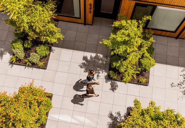 Aerial view of a contemporary building courtyard or pedestrian forecourt paved with large square grey tiles. Landscaped planter beds with mature leafy trees and ornamental grasses are arranged across the space, while timber-clad walls and large windows line the upper edge. Two people walk through the sunny courtyard, casting strong shadows.