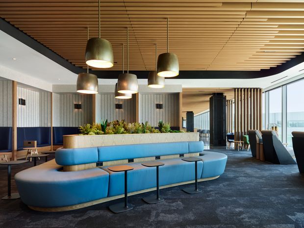 A contemporary commercial hospitality lounge or reception area with curved blue upholstered seating arranged around slim black tables. A long built-in planter divides the seating from a dining or work area. The space features a dramatic slatted timber ceiling, vertical timber screening, dark ceiling trim, patterned dark carpet, large pendant lights, and floor-to-ceiling glazing with expansive views. The overall design is refined, modern, and high-end.