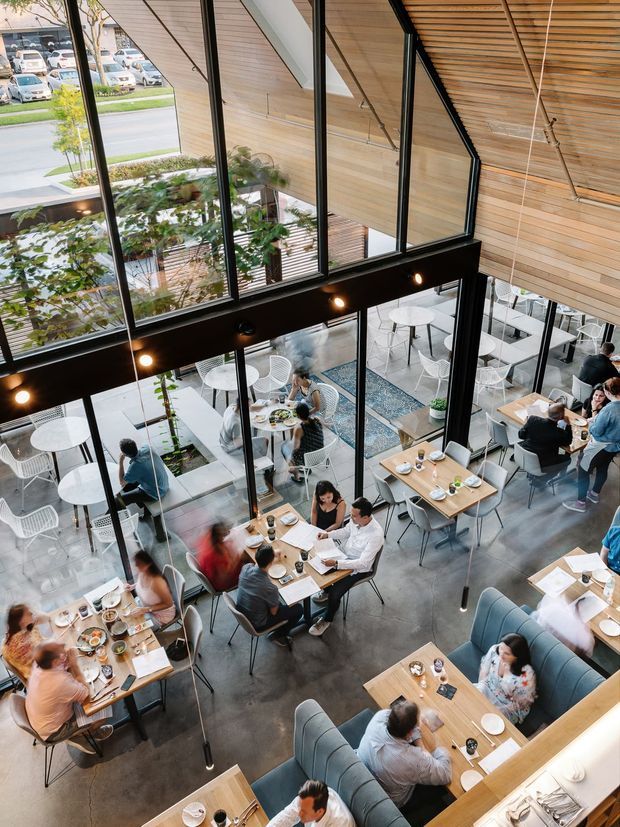 High-angle interior view of a contemporary multi-level café or restaurant, with numerous dining tables, upholstered booth seating, white wire chairs, and customers. Large black-framed floor-to-ceiling glazing overlooks a planted courtyard and street. The space features polished concrete flooring, extensive warm timber wall and ceiling lining, exposed structural framing, and pendant lighting.