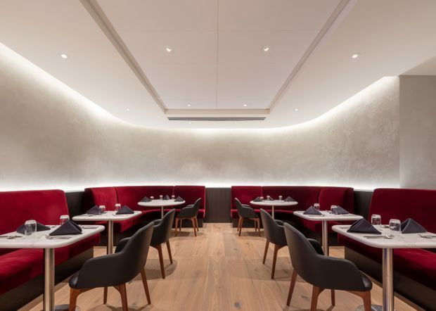 Refined contemporary restaurant dining room with symmetrical rows of tables, deep red upholstered banquette seating, dark dining chairs, and warm timber flooring. Soft concealed cove lighting outlines the curved textured plaster walls and recessed ceiling detail, creating an intimate, polished atmosphere.