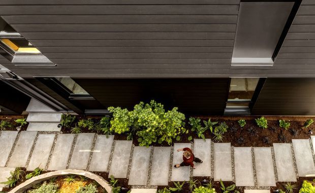 Top-down architectural view of a contemporary residential entry walkway. Large pale concrete stepping slabs form a path through planted garden beds, leading alongside a dark, horizontally clad building facade. Skylights and dark-framed glazing are visible in the roof or upper structure, while a curved raised planter appears at the lower edge. A person is present on the path for scale.