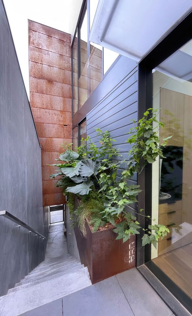 A narrow, landscaped architectural passage beside a modern home, viewed from a small exterior landing at the top of a concrete stairway. The space features dark horizontal cladding, large black-framed glazing, weathered rust-coloured metal wall panels and planters, and abundant leafy planting. The stairs descend through the tight side courtyard, creating a vertical, contemporary urban composition.