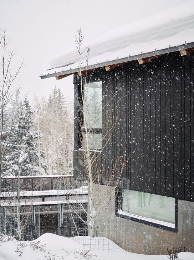 Snow-covered exterior view of a contemporary dark-clad building in a wooded alpine setting. The structure has vertical black cladding, large glazed openings, exposed timber roof-edge details, a low-pitched roof heavily covered in snow, and a concrete or stone lower wall. Snow-laden trees and a raised deck or walkway surround the building.