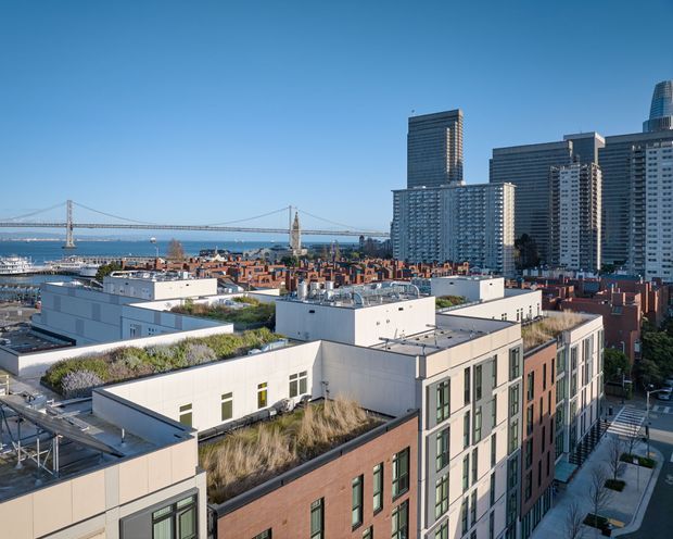 Elevated exterior view over a dense urban waterfront district, showing modern mid-rise buildings with planted green roofs and rooftop terraces in the foreground. A suspension bridge, blue water, and a cluster of taller apartment and office towers form the background skyline. The buildings use flat roofs, brick and light-coloured facade panels, large windows, and contemporary urban massing under a clear sky.