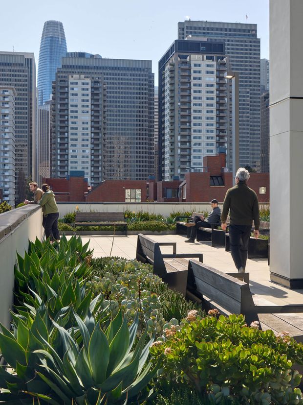 A sunny elevated urban rooftop terrace with paved walkways, built-in dark bench seating, raised planter beds, and dense drought-tolerant succulent landscaping. Several people are using the terrace, with a dense high-rise city skyline visible beyond the parapet.