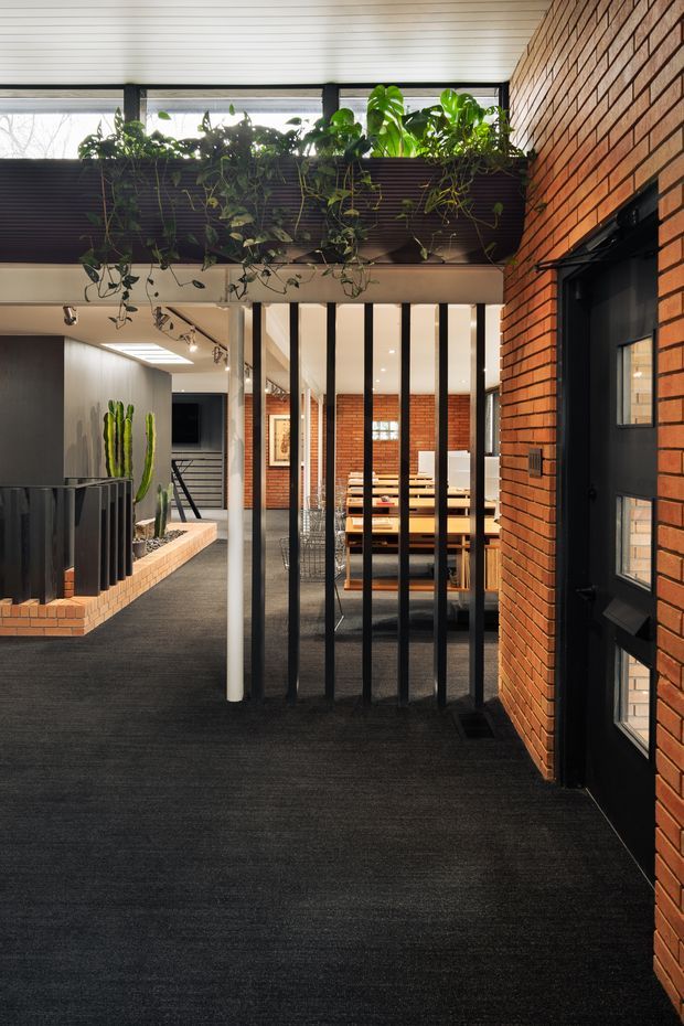 A contemporary interior hallway or entry circulation space with exposed red brick walls, dark carpet flooring, and a black-framed glazed door. Vertical black and white slatted screening separates the corridor from a dining or meeting area beyond. A raised planter with trailing greenery sits above the opening, while a long skylight and clerestory glazing bring daylight into the space. The interior includes industrial-inspired detailing, built-in planting, and a visible dining or collaborative workspace in the background.