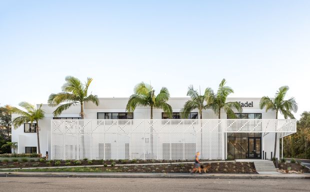 A contemporary low-rise commercial building viewed from the street, with a white rectilinear facade screened by an extensive perforated geometric metal or masonry-patterned veil. Dark-framed glazing and entry doors are visible behind the screen, with a rooftop-level sign, palm trees, landscaped planting beds, and a paved frontage. The composition is bright, clean, and tropical/subtropical in character.