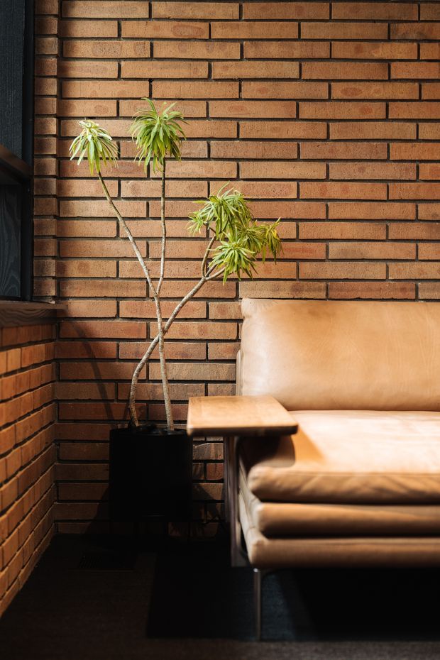 A close-up interior view of a warm, moody seating nook. Exposed reddish-brown brick walls form the backdrop, with a tan leather sofa and matching armrest in the foreground. A tall potted dracaena adds greenery beside the sofa, while dark metal framing and a dark floor reinforce the intimate, industrial character.