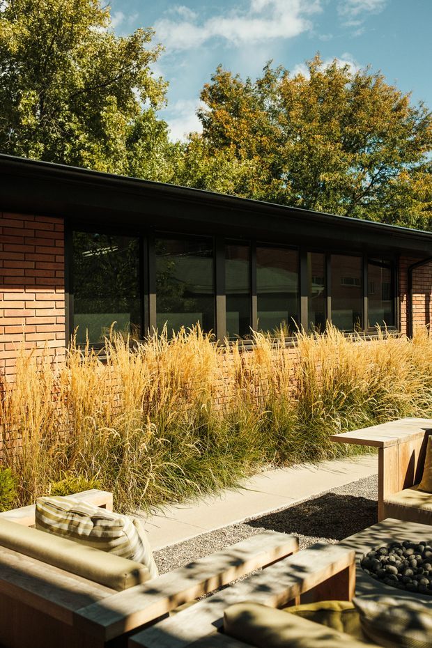 A sunlit outdoor courtyard or patio beside a low, single-storey brick building. The building has a dark low-pitched roof, extensive black-framed glazing, and warm red-brown brick walls. Ornamental grasses line a pale paved walkway, while timber-framed outdoor lounge seating surrounds a dark gravel area with a low fire-pit-like feature. Mature trees provide a leafy backdrop.