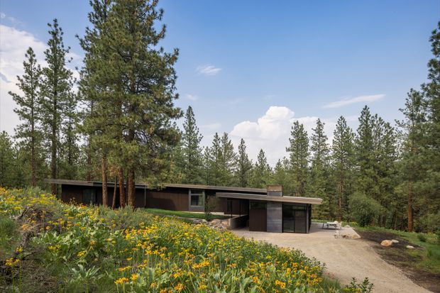 Single-storey low-profile modern house nestled among pine trees and a meadow of yellow wildflowers. The dark horizontal facade, broad shallow roofline, extensive glazing, and partially covered entry create a strong connection to the wooded landscape. A gravel driveway and simple outdoor seating are visible in front.