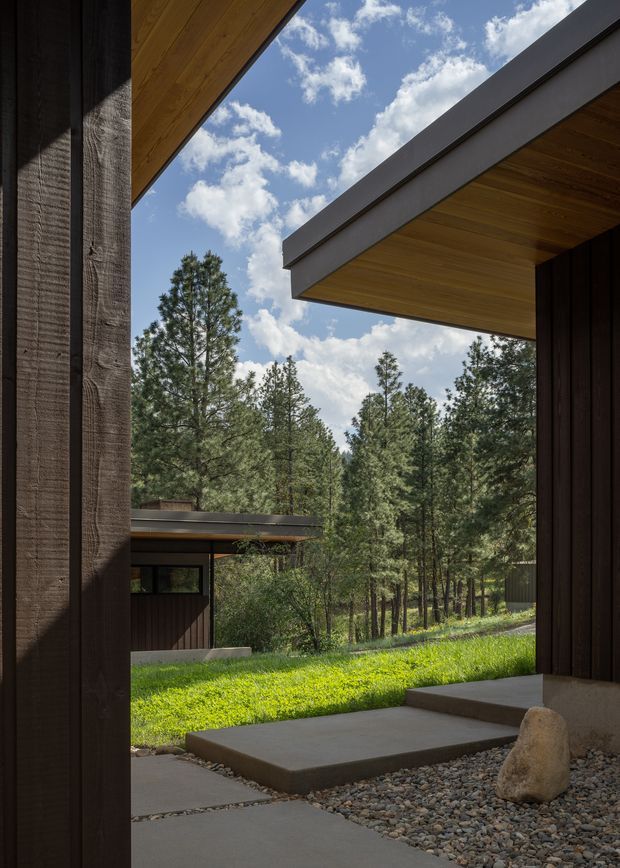 A framed architectural view through a timber-clad exterior opening toward a forested landscape. Deep roof overhangs with warm timber soffits, dark vertical wood cladding, exposed steel fascia, and a concrete stepping path over a gravel bed create a sheltered connection between small pavilion-like buildings and the surrounding pine woodland.