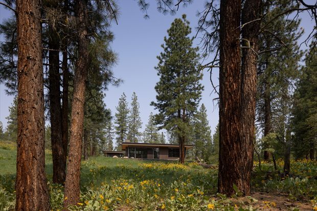 A low, single-storey modern house sits among tall pine trees and a meadow of wildflowers. The building has a simple horizontal form, dark glazing, timber-toned structural elements, and a shallow flat or low-pitched roof, creating a quiet forest retreat setting.