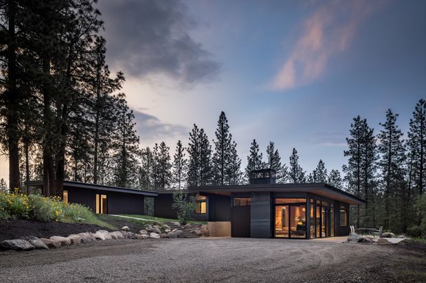 Single-storey contemporary house set within a pine forest, photographed at dusk. The dark, low-profile facade has a broad flat or very low-pitched roof, expansive floor-to-ceiling glazing at the living area, a glazed entrance or corner, and warm interior lighting. A gravel forecourt, stone-edged landscaping, and native planting surround the home.