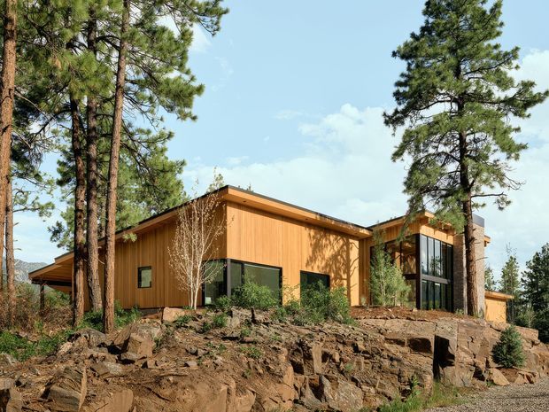 Exterior view of a contemporary timber-clad house integrated into a wooded, rocky sloping site. The low, angular form has a flat or very low-pitched roof, large dark-framed glazed openings, and warm natural wood cladding. Tall pine trees surround the building and exposed rock and earth form the foreground.
