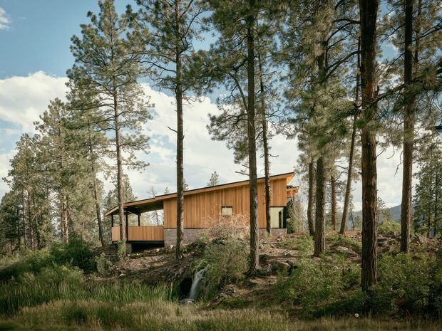 A contemporary timber-clad cabin-like dwelling nestled among tall pine trees on a wooded, gently sloping site. The low elongated building has a sharply pitched single-slope roof, broad glazed openings, and a partially covered deck or veranda. Natural rock, grasses, and a small creek surround the structure, with distant terrain visible through the trees.