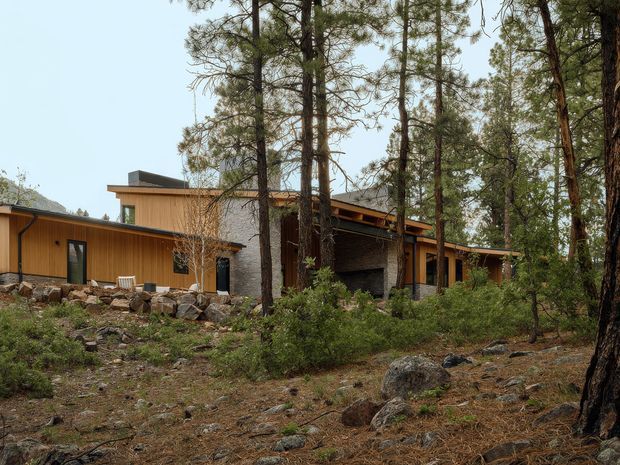 A low, single-storey contemporary house nestled among mature pine trees on a rocky, gently sloping forest site. The building features warm timber-toned vertical cladding, dark-framed glazing, broad shallow rooflines, and a recessed central section with a dark stone or masonry wall. Natural rocks, sparse undergrowth, and pine needles surround the structure.
